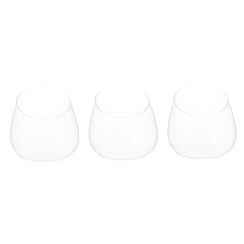 ULTECHNOVO 3Stücke Mikrolandschaftsflasche Sukkulenten Vase mit Schrägem Schnitt Dekorative Terrarium Flasche für Kreative Pflanzenarrangements oder Wohnaccessoire von ULTECHNOVO