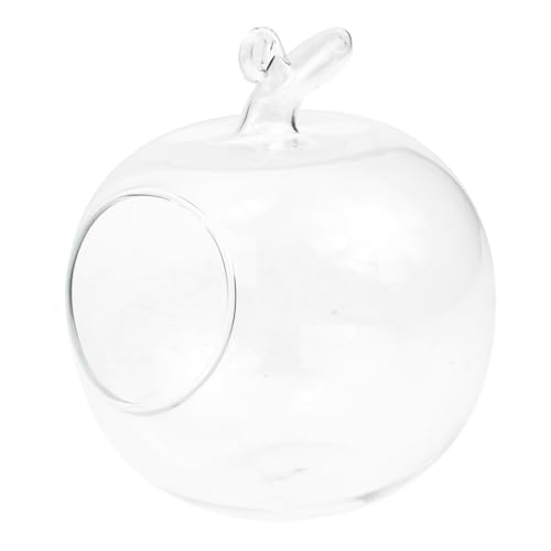 ULTECHNOVO Apfelförmiger Glasterrarium für Mikrolandschaften Kreative Tischdekoration für Wasserpflanzen Transparente DIY Glasflasche für Wohnzimmer und Büro für Pflanzen von ULTECHNOVO