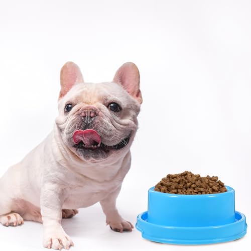 ULTECHNOVO Futternäpfe Für Haustiere: Erhöhte Näpfe Für Katzen Hunde Und Kleintiere Rund Anti-Ameisen-Wasser-Futternapf (Blau) von ULTECHNOVO