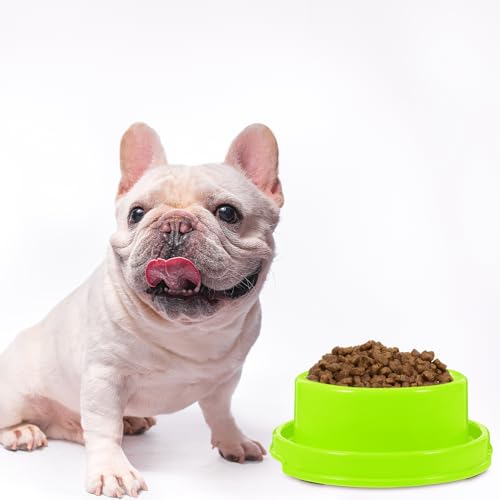 ULTECHNOVO Futternäpfe Für Haustiere: Erhöhte Näpfe Für Katzen Hunde Und Kleintiere Rund Anti-Ameisen-Wasser-Futternapf (Grün) von ULTECHNOVO