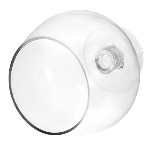 ULTECHNOVO Goldfischglas Aus Glas Panzer Aquarium Fischbecken Klein Klares Fischbecken Fischvorräte Fischbecken Und Aquarien Aquarium Aquarium Bürobedarf Transparent ULTECHNOVO Goldfischglas Aus Glas Panzer Aquarium Fischbecken Klein Klares Fischbecken Fischvorräte Fischbecken Und Aquarien Aquarium Aquarium Bürobedarf Transparent von ULTECHNOVO