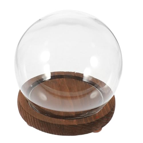 ULTECHNOVO Kugelförmige Glasabdeckung Ornament Vitrine Glasglocke Kugel Glas Display Kuppel Runde Glaskugel Dekoratives Gefäß Cloche Glasterrarium Mit Deckel Cloche Gefäß von ULTECHNOVO