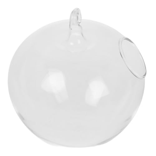 ULTECHNOVO Sukkulenten-Terrarium-Kit Ornament Display Stand Terrarium Bausatz selber Machen hängendes Fischglas Metall Transparent ULTECHNOVO Sukkulenten-Terrarium-Kit Ornament Display Stand Terrarium Bausatz selber Machen hängendes Fischglas Metall Transparent von ULTECHNOVO