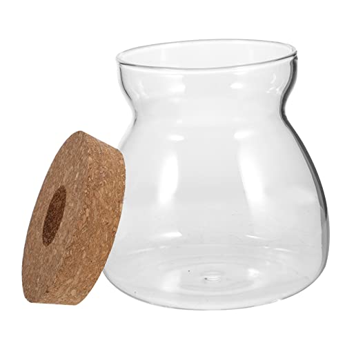 ULTECHNOVO Terrarium Glasbehälter für Pflanzen Ökosystem Terrarium mit Deckel Transparent für Kreative Wohnräumen Büro von ULTECHNOVO