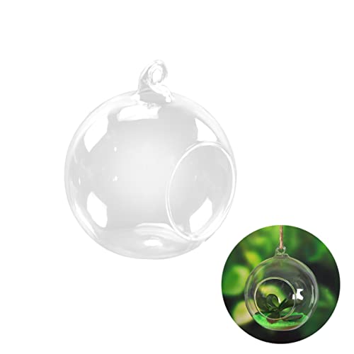 ULTECHNOVO Transparente Hängende Glasvase für Pflanzen Terrarium für Kreative Mikrogärten für Zuhause und für Freunde ULTECHNOVO Transparente Hängende Glasvase für Pflanzen Terrarium für Kreative Mikrogärten für Zuhause und für Freunde von ULTECHNOVO