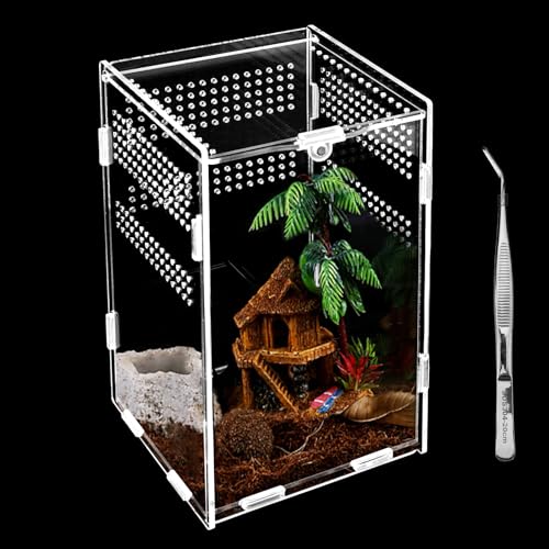 Reptilien Terrarium Box, Transparente Fütterungsbox Acryl, 20*12*12cm Reptil Fütterungsbox, Reptilien Aufzuchtbox mit Pinzette, Insekten Futterbox für Spinnen, Eidechsen, Käfer, Frosch, Schlangen etw. Reptilien Terrarium Box, Transparente Fütterungsbox Acryl, 20*12*12cm Reptil Fütterungsbox, Reptilien Aufzuchtbox mit Pinzette, Insekten Futterbox für Spinnen, Eidechsen, Käfer, Frosch, Schlangen etw. von UMILKI