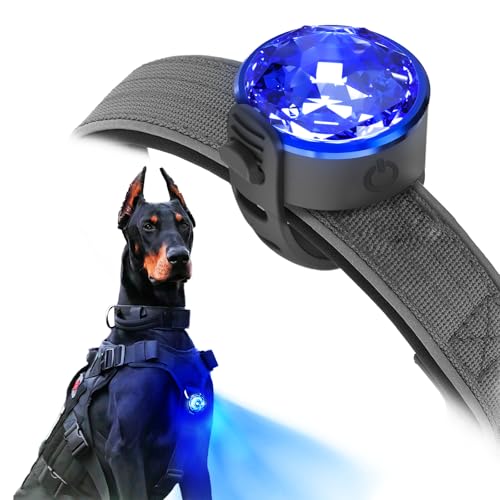 UMIONE PET LIGHT: Wasserdichtes Hundelicht, langlebig und ideal für Nachtspaziergänge (in Geschenkverpackung) (UMIONE-BLAU-01) von UMIONE
