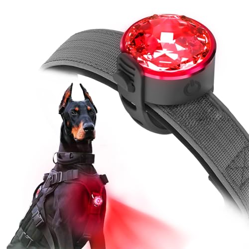 UMIONE PET LIGHT: Wasserdichtes Hundelicht, langlebig und ideal für Nachtspaziergänge (in Geschenkverpackung) (UMIONE-RED-01) von UMIONE
