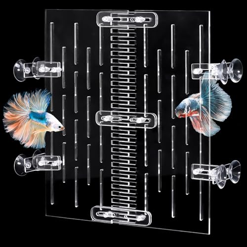 UNIFAMILY Aquarium-Trennwand mit Saugnäpfen, Trennclips für Aquarien, 35,4 l, Trennwand für Aquarien, Isolationsbrett hält Fische vor Kämpfen (35,7 Liter) von UNIFAMILY