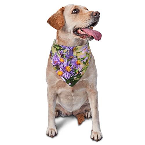 Blumengarten mit Schmetterlingen, bedruckt, dreieckig, verstellbar, waschbar, für kleine, mittelgroße und große Hunde und Katzen Blumengarten mit Schmetterlingen, bedruckt, dreieckig, verstellbar, waschbar, für kleine, mittelgroße und große Hunde und Katzen von UNIOND