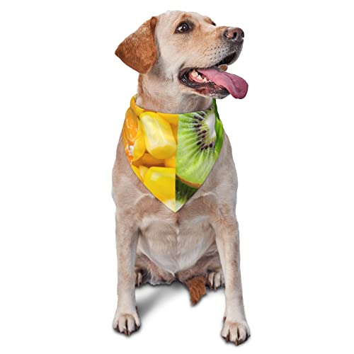 Dreieckstuch mit Früchtenmotiv, verstellbar, waschbar, für kleine, mittelgroße und große Hunde und Katzen Dreieckstuch mit Früchtenmotiv, verstellbar, waschbar, für kleine, mittelgroße und große Hunde und Katzen von UNIOND