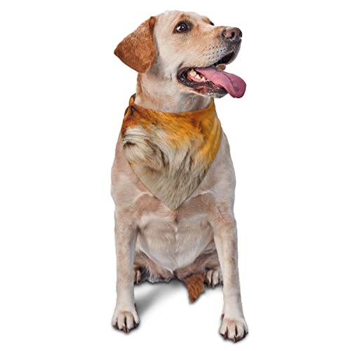 Fuchs bedrucktes dreieckiges Bandana verstellbarer Haustier-Schal, waschbares Halstuch für kleine, mittelgroße und große Hunde und Katzen von UNIOND