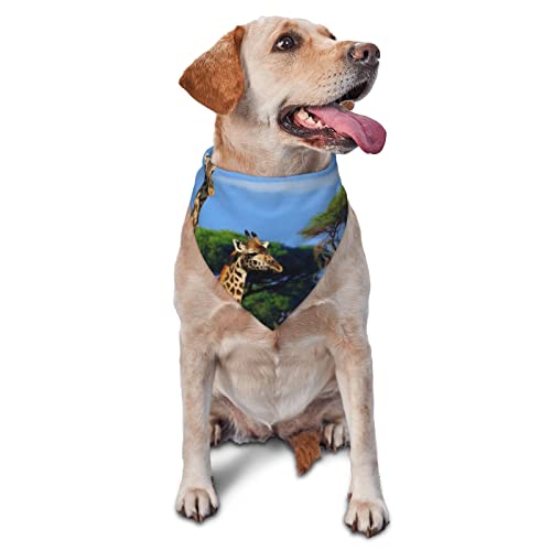 Giraffe Kilimanjaro Mount Afrika bedrucktes Dreieck Bandana Verstellbarer Haustier Schal Waschbares Halstuch für kleine, mittelgroße und große Hunde Katzen Giraffe Kilimanjaro Mount Afrika bedrucktes Dreieck Bandana Verstellbarer Haustier Schal Waschbares Halstuch für kleine, mittelgroße und große Hunde Katzen von UNIOND
