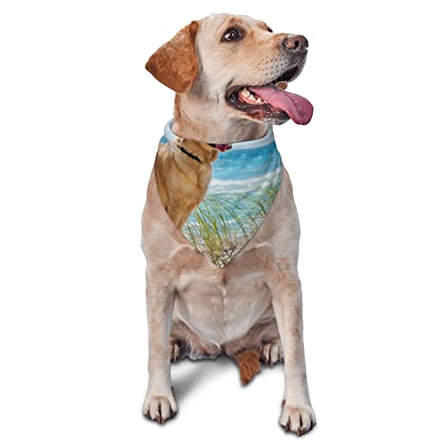 Golden Retriever bedrucktes Dreieckstuch für kleine und mittelgroße und große Hunde und Katzen Golden Retriever bedrucktes Dreieckstuch für kleine und mittelgroße und große Hunde und Katzen von UNIOND