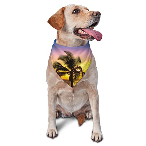 Hawaii Beach bedrucktes Dreieck Bandana Verstellbarer Haustier Schal Waschbares Halstuch für kleine, mittelgroße und große Hunde Katzen von UNIOND