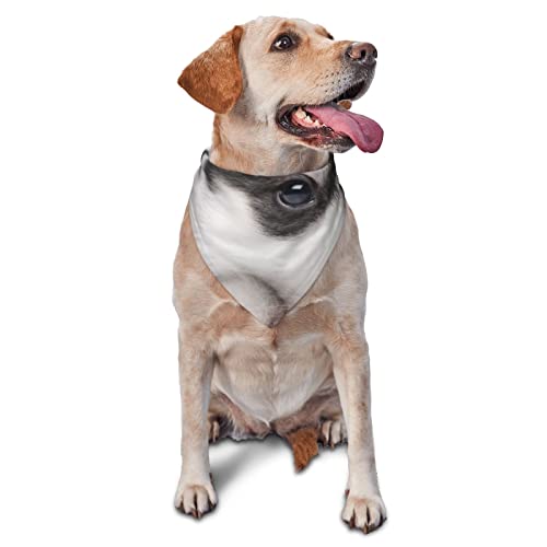 Husky Hunde-bedrucktes Dreieck-Bandana, verstellbar, waschbar, für kleine, mittelgroße und große Hunde und Katzen Husky Hunde-bedrucktes Dreieck-Bandana, verstellbar, waschbar, für kleine, mittelgroße und große Hunde und Katzen von UNIOND