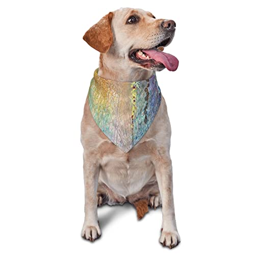 Ivy Back Florets Sträucher, bedruckt, dreieckig, verstellbar, waschbar, für kleine, mittelgroße und große Hunde und Katzen Ivy Back Florets Sträucher, bedruckt, dreieckig, verstellbar, waschbar, für kleine, mittelgroße und große Hunde und Katzen von UNIOND