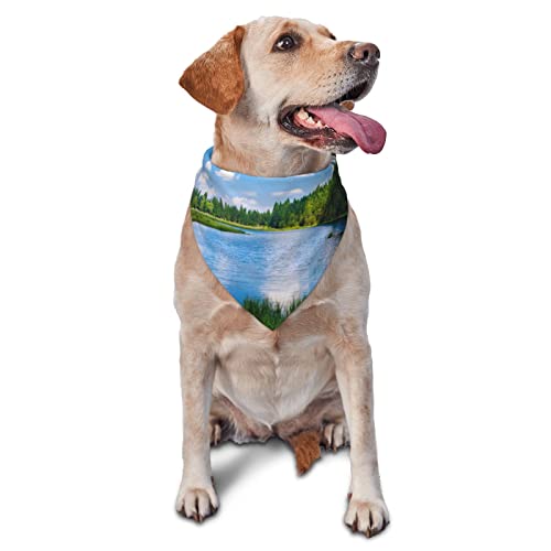 Kleiner Arbersee Bedrucktes Dreieckstuch Haustierschal Verstellbar Haustier Schal Waschbar Halstuch für Kleine Mittlere Große Hunde Katzen Kleiner Arbersee Bedrucktes Dreieckstuch Haustierschal Verstellbar Haustier Schal Waschbar Halstuch für Kleine Mittlere Große Hunde Katzen von UNIOND