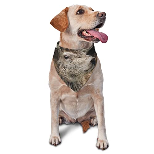 Lustiges Halstuch, bedruckt, dreieckig, verstellbar, waschbar, für kleine, mittelgroße und große Hunde und Katzen von UNIOND