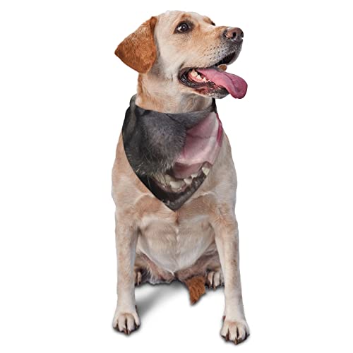 Lustiges Hunde-bedrucktes Dreieck-Bandana, verstellbar, waschbar, für kleine, mittelgroße und große Hunde und Katzen von UNIOND