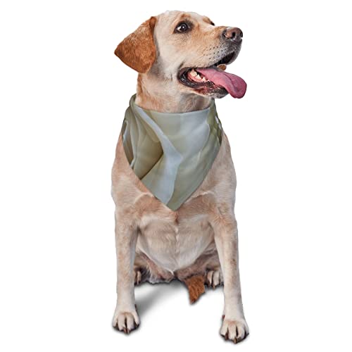 Riesige Rosen bedrucktes Dreieck Bandana Verstellbarer Haustier Schal Waschbares Halstuch für kleine, mittelgroße und große Hunde Katzen von UNIOND