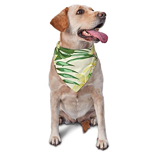 hojas tropicales y Flores bedrucktes Dreieckstuch Haustierschal Verstellbarer Haustierschal Waschbares Halstuch für kleine, mittelgroße und große Hunde Katzen hojas tropicales y Flores bedrucktes Dreieckstuch Haustierschal Verstellbarer Haustierschal Waschbares Halstuch für kleine, mittelgroße und große Hunde Katzen von UNIOND