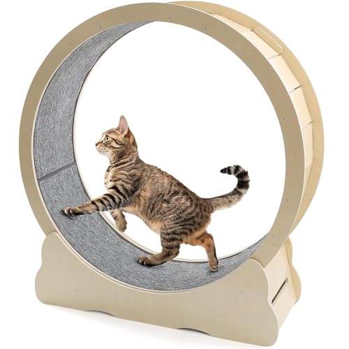 UNIONLINE Katzenlaufrad für Hauskatzen, 110cm leises großes Katztreadmill mit Abnehmbarer Belegter Laufbahn, Trainingslaufrad für Haustiergesundheit & Unterhaltung (Naturholz) von UNIONLINE