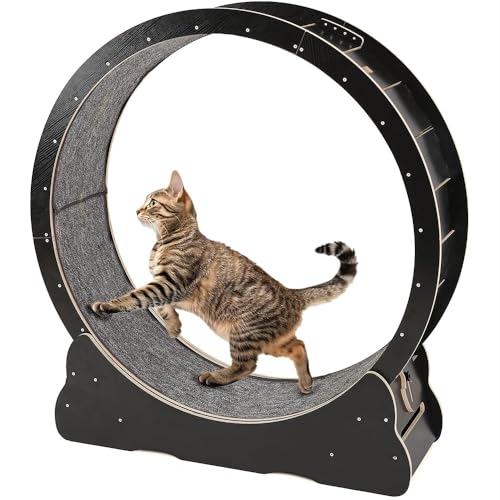 UNIONLINE Katzenlaufrad für Hauskatzen, 110cm leises großes Katztreadmill mit Abnehmbarer Belegter Laufbahn, Trainingslaufrad für Haustiergesundheit & Unterhaltung (Schwarz) von UNIONLINE