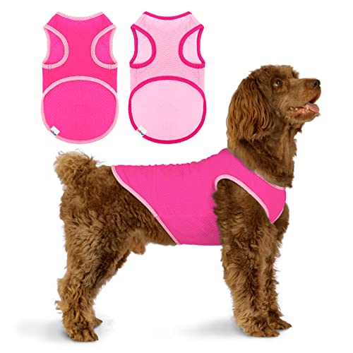 UNIPUP 2 Stück schnell trocknendes Hunde-Shirt, leichtes Netzgewebe, atmungsaktive Hundekleidung für große Hunde und Mädchen, Sportfan-T-Shirts für Hunde und Katzen, Welpen, Weste von UNIPUP