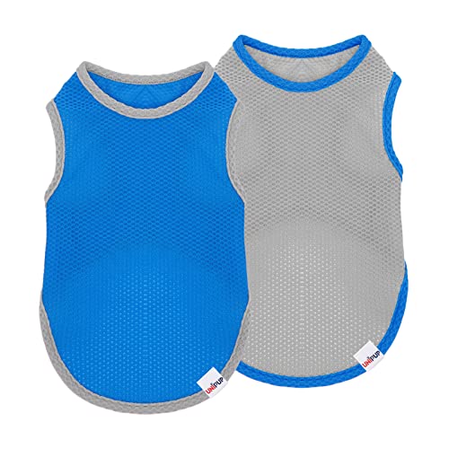 UNIPUP Kühlende Shirts für Hunde, atmungsaktiv, leicht, für mittelgroße Hunde und Jungen, ärmellos, Sonnenschutz-Shirts für Hunde und Katzen, Welpen, Haustierbekleidung, 2 Stück UNIPUP Kühlende Shirts für Hunde, atmungsaktiv, leicht, für mittelgroße Hunde und Jungen, ärmellos, Sonnenschutz-Shirts für Hunde und Katzen, Welpen, Haustierbekleidung, 2 Stück von UNIPUP