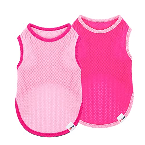 UNIPUP Kühlende Shirts für Hunde, atmungsaktiv, leicht, für mittelgroße Hunde und Mädchen, ärmellos, Sonnenschutz-Shirts für Hunde und Katzen, Welpen, Haustierbekleidung, 2 Stück UNIPUP Kühlende Shirts für Hunde, atmungsaktiv, leicht, für mittelgroße Hunde und Mädchen, ärmellos, Sonnenschutz-Shirts für Hunde und Katzen, Welpen, Haustierbekleidung, 2 Stück von UNIPUP