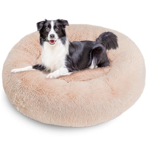 Weiches Plüsch-Hundebett mit abnehmbarem waschbarem Bezug – Premium-Komfort für mittelgroße und große Hunde – rundes Haustierbett für Hunde und Katzen Weiches Plüsch-Hundebett mit abnehmbarem waschbarem Bezug – Premium-Komfort für mittelgroße und große Hunde – rundes Haustierbett für Hunde und Katzen von UNIQUTY