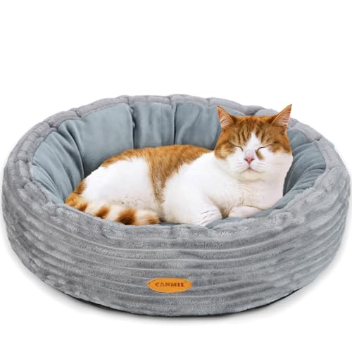 Katzenbett, Katzenbett für Indoor-Katzen, Flauschiges Kätzchenbett, Donut-Katzenbett für Katzen und kleine Hunde, waschbares rundes Haustierbett, für den Innenbereich Katzenbett, Katzenbett für Indoor-Katzen, Flauschiges Kätzchenbett, Donut-Katzenbett für Katzen und kleine Hunde, waschbares rundes Haustierbett, für den Innenbereich von UNKJIN