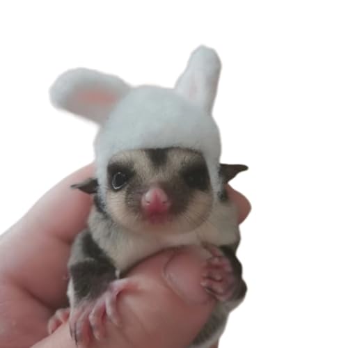 Zuckergleiter, Kleidung, Zuckergleiter, Zubehör, Zuckergleiter, Spielzeug, Zuckergleiter, Zubehör, Halloween, Party, Cosplay, für Zuckergleiter, Hamster, Chinchillas, Kleintiere, Hasen, Zuckergleiter von UNMULFC
