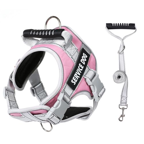 Reflektierendes Hundegeschirr für kleine Hunde, Halsband, Weste, Spaziergänge und Leine, verstellbare Leine, reflektierend Reflektierendes Hundegeschirr für kleine Hunde, Halsband, Weste, Spaziergänge und Leine, verstellbare Leine, reflektierend von UNTERING