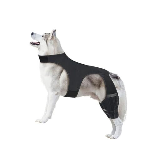 UNTERING Elastische Beinbandage für Hunde, effiziente Gelenk-Schutzhülle für ältere verletzte Hunde, stützende Gelenkmanschetten UNTERING Elastische Beinbandage für Hunde, effiziente Gelenk-Schutzhülle für ältere verletzte Hunde, stützende Gelenkmanschetten von UNTERING