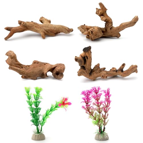 6 teilig kleinen natürlichen Treibholz und simulierte Wasserpflanzen für Aquarien, natürliches Treibholz und Zweige, Aquarium-Treibholz, Dekoration von Ästen für Reptilienbecken,Terrarium(10-15cm) von UOCAI