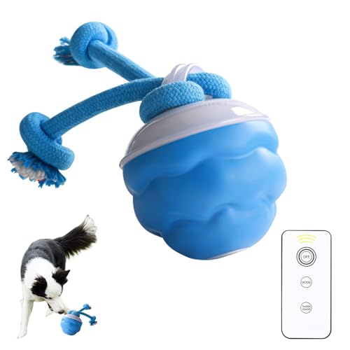 UOEONR Interaktiver Hundeball Mit Fernbedienung, Katzenspielzeug Elektrisch Katzenball mit LED Licht,interaktives Katzen- und Hundespielzeug, Automatisch Beweglicher Ball für Katzen und Hunde (Blue) von UOEONR