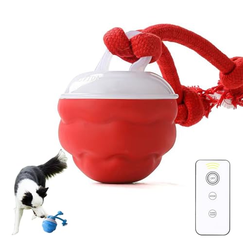 UOEONR Interaktiver Hundeball Mit Fernbedienung, Katzenspielzeug Elektrisch Katzenball mit LED Licht,interaktives Katzen- und Hundespielzeug, Automatisch Beweglicher Ball für Katzen und Hunde (red) von UOEONR