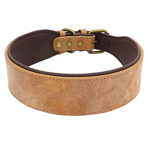 Breites Leder Hundehalsband Gepolstert Haustier Halsbänder Hundehalsband für Mittlere Große Hunde Pitbull Bulldogge Deutscher Schäferhund 2XL (Braun XX) von UOHUFIDABFD