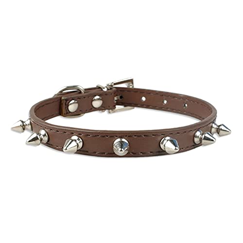 Cool Cats Hundehalsband, Leder, mit Nieten, für kleine, mittelgroße Hunde, Katzen, Chihuahua, 5 Farben, Braun, Größe M Cool Cats Hundehalsband, Leder, mit Nieten, für kleine, mittelgroße Hunde, Katzen, Chihuahua, 5 Farben, Braun, Größe M von UOHUFIDABFD
