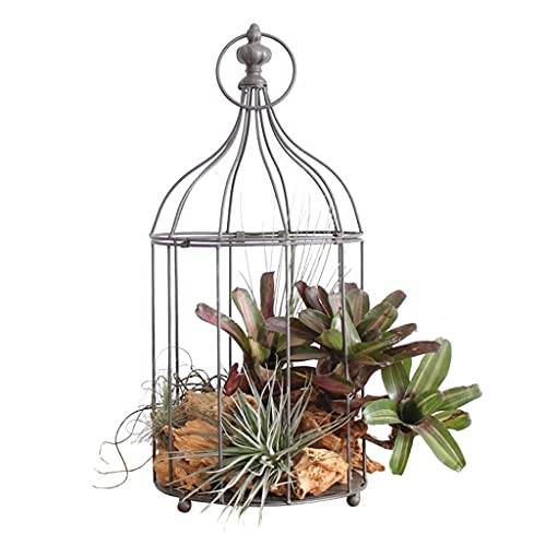 Europäischer Vogelkäfig, Dekoration, Tischplatte, Garten, Foto-Requisiten, Hochzeit, Vogelkäfig, Fenster, Fleischige Blume, Dekoration im Käfig von UOHUFIDABFD