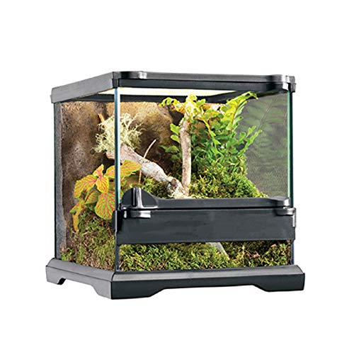 Glas-Terrarium-Set für Reptilien und Amphibien, Nano-Reptilien-Glas, Terrarium, Belüftung, Reptilien-Terrarium, 2 (1) von UOHUFIDABFD