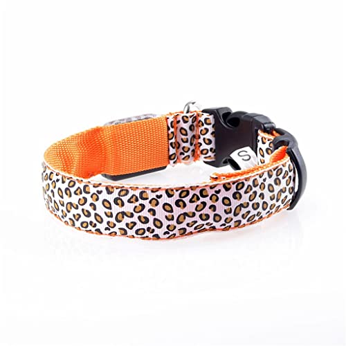 Haustier-Halsband, LED, leuchtendes Halsband, Teddy, Hundehalsband, Welpen, Leoparden-Halsband (Orange, Größe M) von UOHUFIDABFD