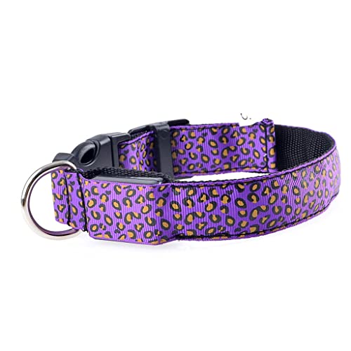 Haustierhalsband LED-Leuchthalsband Teddy Hund Leuchtend Hundehalsband Welpen Leopard Halsband (Lila. X) von UOHUFIDABFD