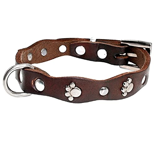 Hundehalsband, Leder, weich, verstellbar, mit Nieten, für kleine und mittelgroße Hunde, Katzen, Pitbull, Braun, XXS XS XS XS M (XX) von UOHUFIDABFD