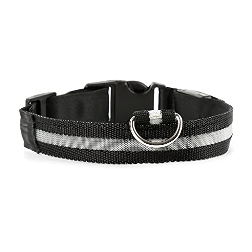Hundehalsband Katzen Halsband Hund Leuchthalsband Teddy Golden Retriever Samoyed Hund Haustier Zubehör (Schwarz Small) von UOHUFIDABFD