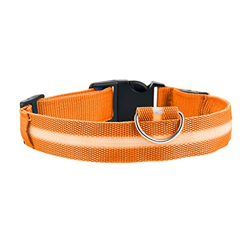 Hundehalsband Katzenhalsband Hund Leuchthalsband Teddy Golden Retriever Samoyed Hund Haustier Zubehör (Orange Small) von UOHUFIDABFD