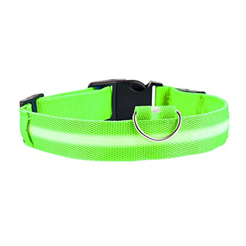 LED-Hundehalsband, blinkend, leuchtend, kreativ, für Hunde und Katzen, verstellbar, Sicherheitsbeleuchtung, Nylon-Erkennungsmarke, Zubehör für Haustiere (Grün, Medium) von UOHUFIDABFD