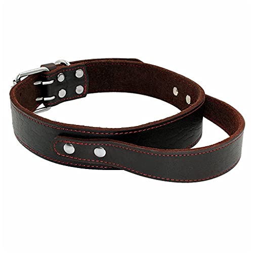 Leder-Hundehalsband, langlebig, Leder, Trainingshalsbänder für mittelgroße und große Hunde, Pitbull mit Schnellkontrolle, Griff Leder-Hundehalsband, langlebig, Leder, Trainingshalsbänder für mittelgroße und große Hunde, Pitbull mit Schnellkontrolle, Griff von UOHUFIDABFD
